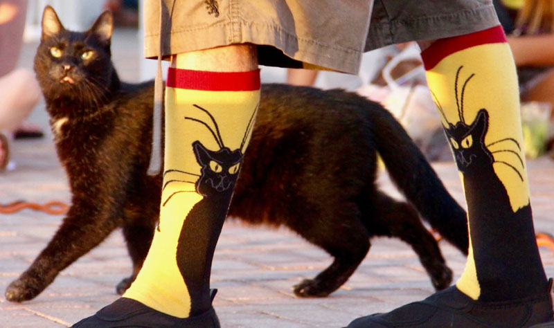 Catman Socks
